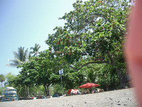 Hookena Beach4