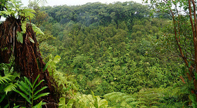 Akaka12