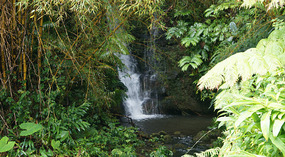 Akaka20