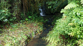 Akaka21