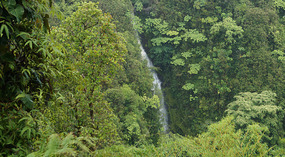 Akaka8