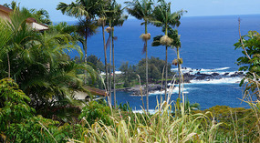Lapahoehoe2