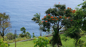 Lapahoehoe3