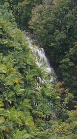 Scenic Valley3