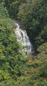 Scenic Valley4