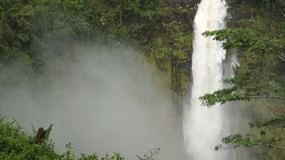Video Akaka3