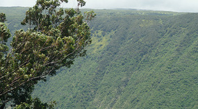 Waipio6