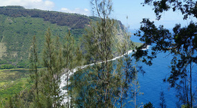 Waipio9