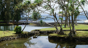 Hilo4