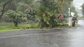 Video Lanai1