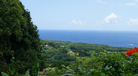Hana1