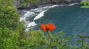 Hana5