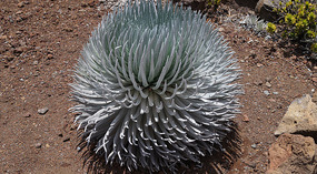 Haleakala11