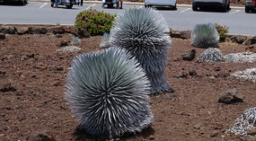 Haleakala12