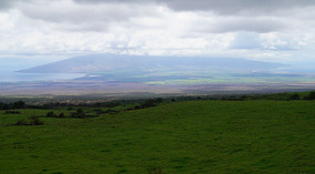 Outlook0