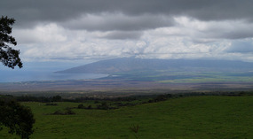 Outlook3