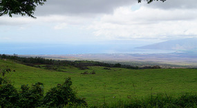 Outlook5