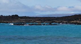 La Perouse Bay5