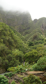Iao1