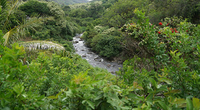 Iao10