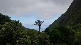 Iao3