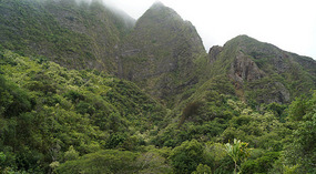 Iao4