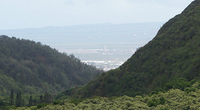 Iao8