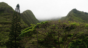 Kepaniwai6