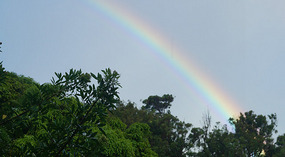 Regenbogen1