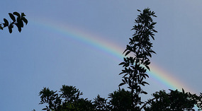 Regenbogen2