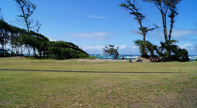 Waihee4