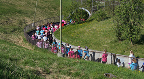 Frauenlauf1