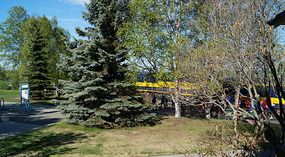 Oscar Anderson House1