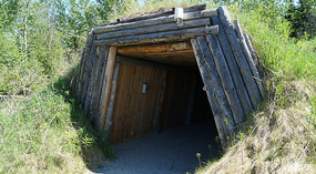 Native11