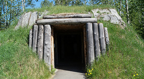 Native18