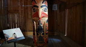 Native31