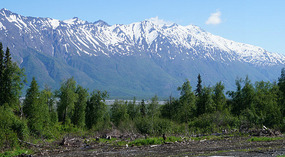 Knik River5