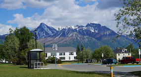 Palmer3