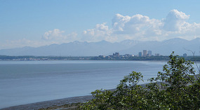 View1