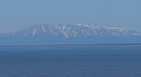 View4