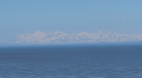View5