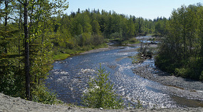 Anchor River
