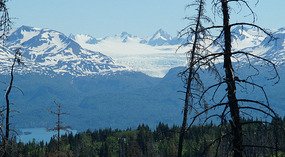 East End Drive5