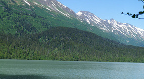 Am See1