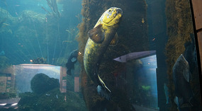 SeaLife Center11