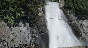 Tauwasser