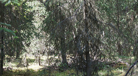 K'Beq6