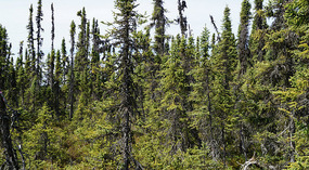 Nature Reserve1