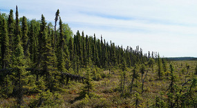 Nature Reserve2
