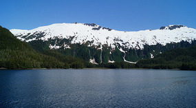 Cruise8
